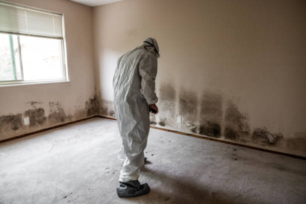 Water Damage Restoration in Papillion, NE
